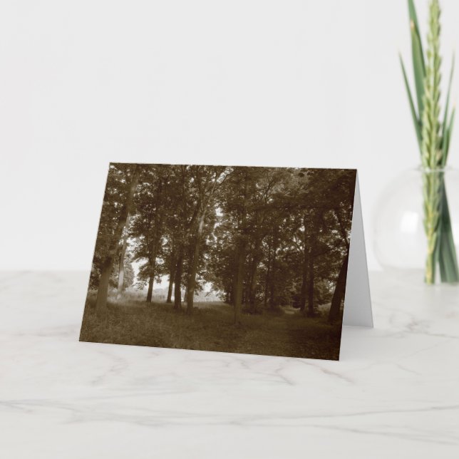 Holz, Bute Park Cardiff - Sepia toniert Karte (Vorderseite)