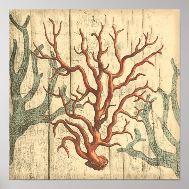 Holz und kleine Korallen Poster (Vorne)