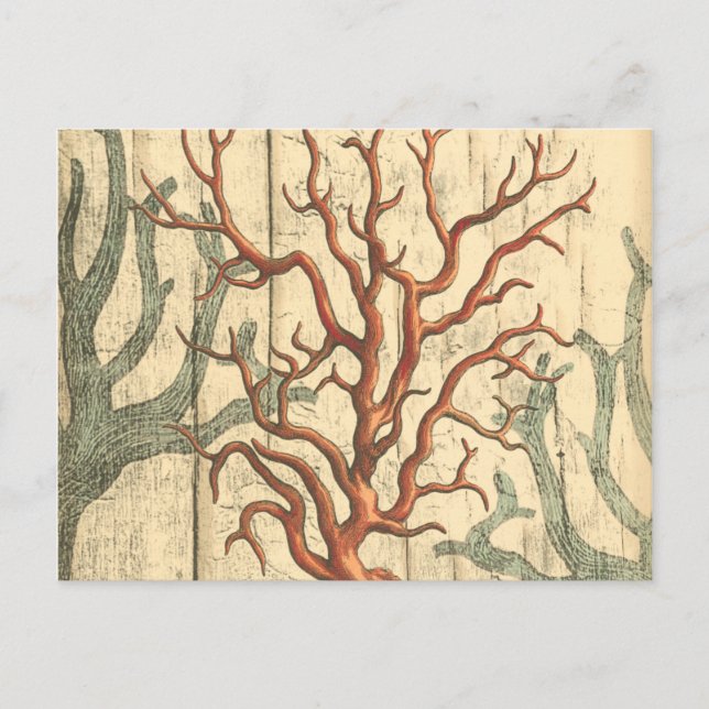 Holz und kleine Korallen Postkarte (Vorderseite)