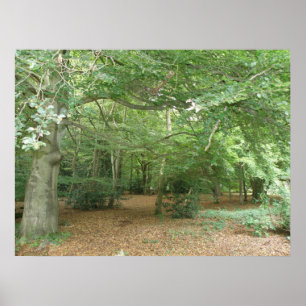 Holzaufbereitungspapier Poster