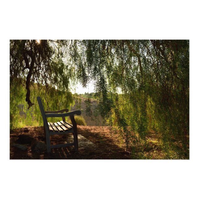 Holzbank [24x20] Foto (Vorne)
