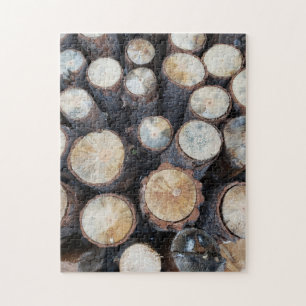 Holzbaumholz Holz Original Naturfoto