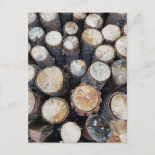 Holzbaumholz Holz Original Naturfoto Postkarte