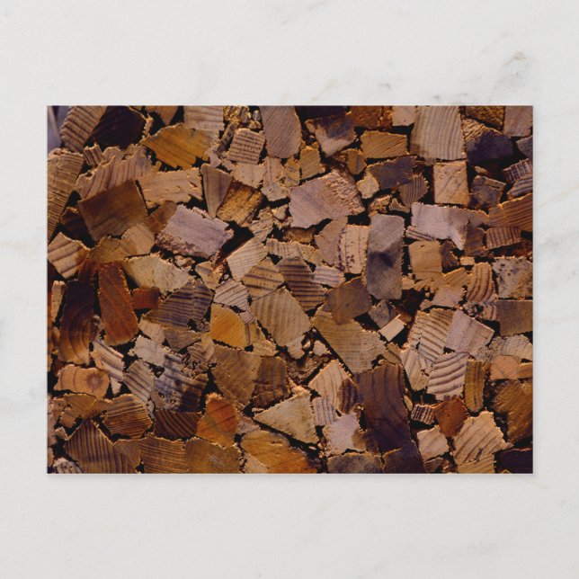 Holzbaumholz rustikales Holzbaumholzmuster Postkarte (Vorderseite)