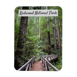 Holzbrücke und Sequoias | Redwood National Park Magnet