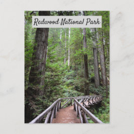 Holzbrücke und Sequoias | Redwood National Park Postkarte