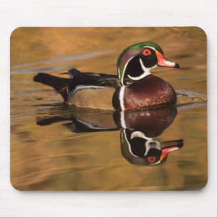 Holzente am Goldenen See Mousepad