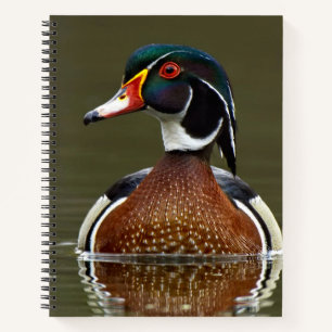 Holzente auf Wasser Notizbuch