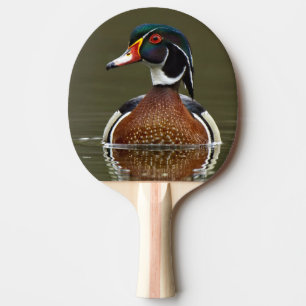 Holzente auf Wasser Tischtennis Schläger