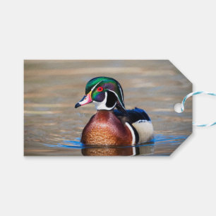 Holzente in einem Teich Geschenkanhänger