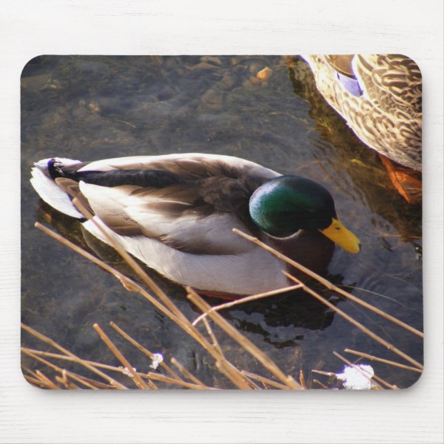 Holzente-Maus-Pad Mousepad (Vorne)