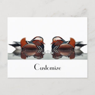 Holzente Thunder_Cove Postkarte