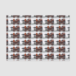 Holzente Thunder_Cove Seidenpapier