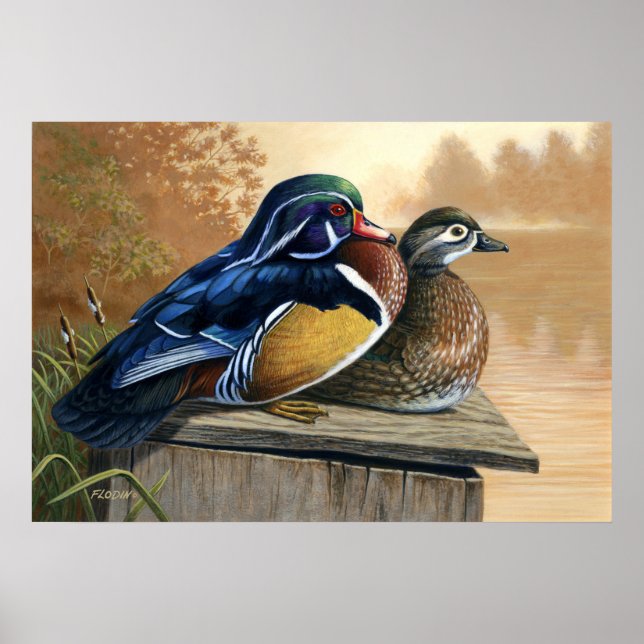 Holzenten auf der Nistkasten-Malerei 2 - Poster (Vorne)