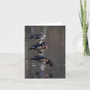 Holzenten auf Zweig Karte