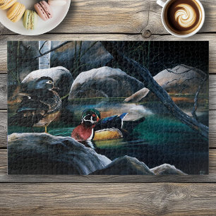 Holzenten Paar Teich Natur Wildtiere Bunt