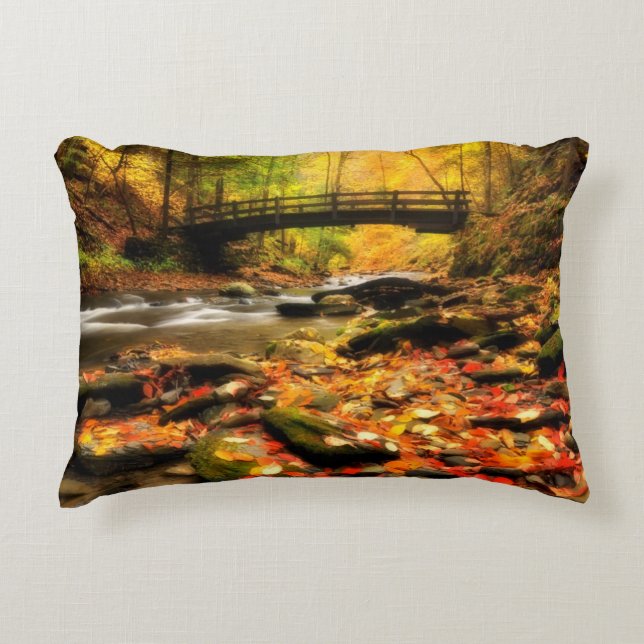 Hölzerne Brücke und Nebenfluss im Fall Dekokissen (Vorderseite)