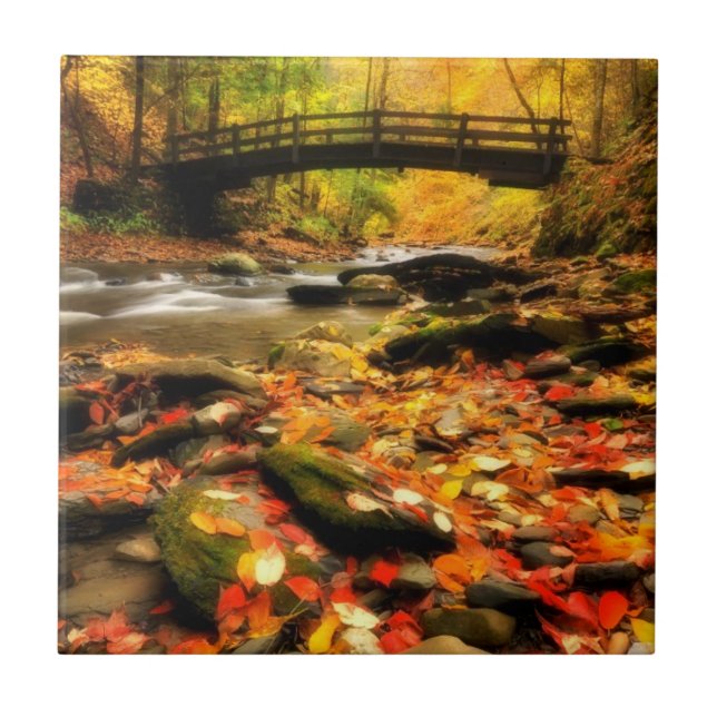 Hölzerne Brücke und Nebenfluss im Fall Fliese (Vorderseite)