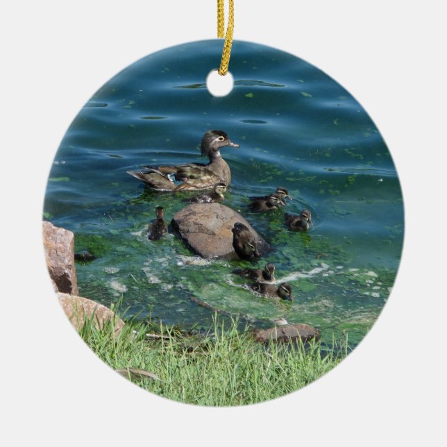 Hölzerne Enten-Familie Keramikornament (Vorne)