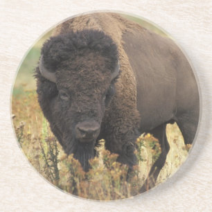 Hölzerner Bison-Untersetzer Untersetzer