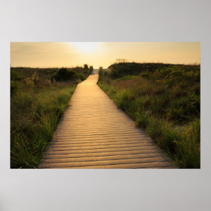 Hölzerner Gehweg zum auf den Strand zu setzen Poster