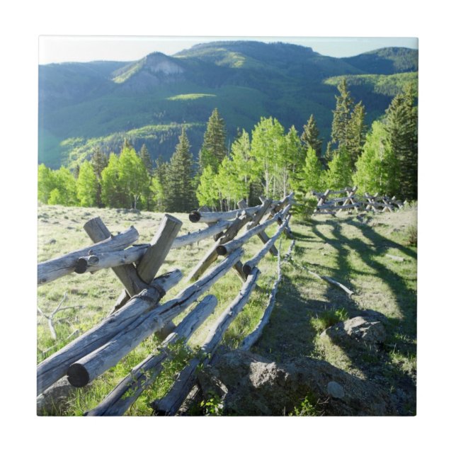 Hölzernes Fenceline Fliese (Vorderseite)