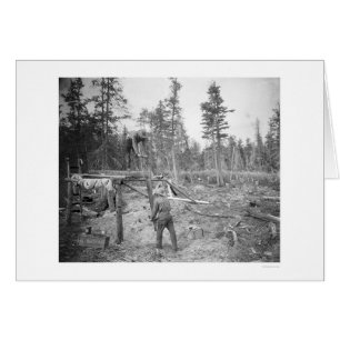 Holzfäller in Alaska 1916