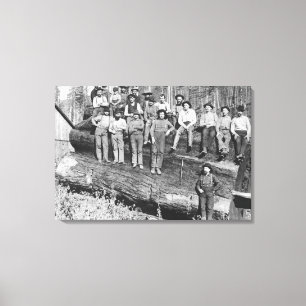 Holzfäller in Kalifornien, 1891 Leinwanddruck