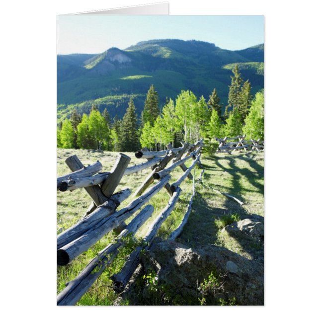 Holzfasel (Vorne)