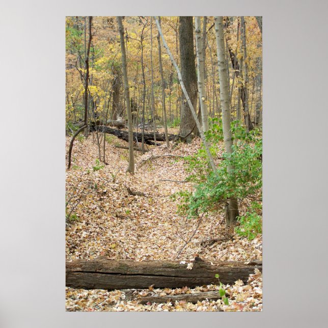 Holzfenster Poster (Vorne)