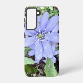 Holzflüster - lila Wildblume in der Quelle Samsung Galaxy Hülle