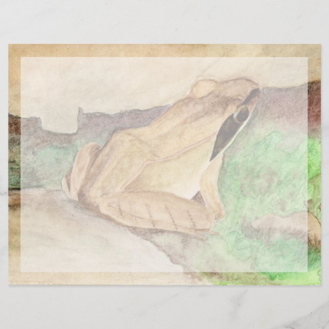 Holzfrosch (Vorderseite)