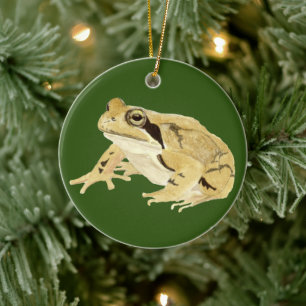 Holzfrosch Keramik Ornament