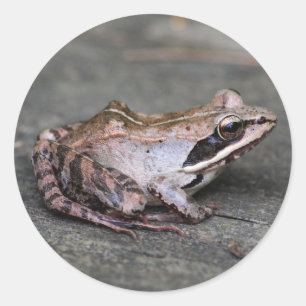 Holzfrosch Runder Aufkleber