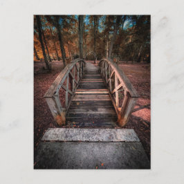 Holzfußgängerbrücke mit Waldweg Postkarte
