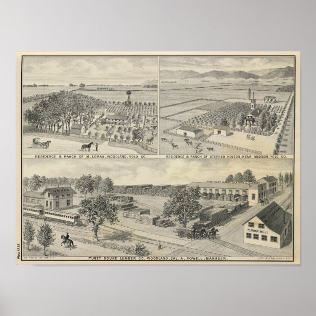 Holzholzunternehmen Poster (Vorne)