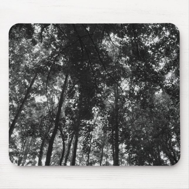 Holzkanopie 01 BW Mousepad (Vorne)