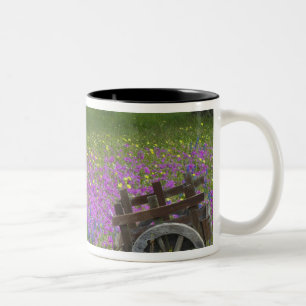 Holzkarren im Feld Phlox, Blauer Bonnets Zweifarbige Tasse