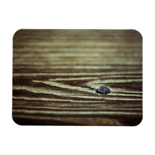 Holzkörnertextur von Shirley Taylor Magnet