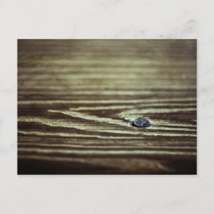 Holzkörnertextur von Shirley Taylor Postkarte