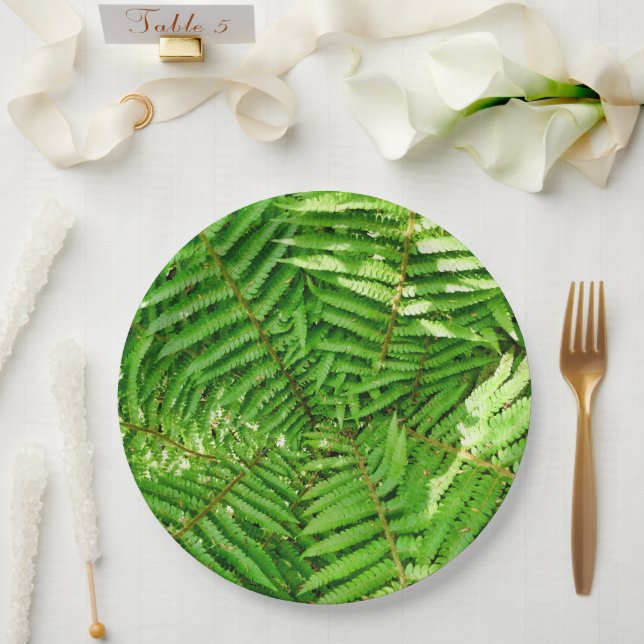 Holzland Ferns Paper Plate Pappteller (Hochzeit)