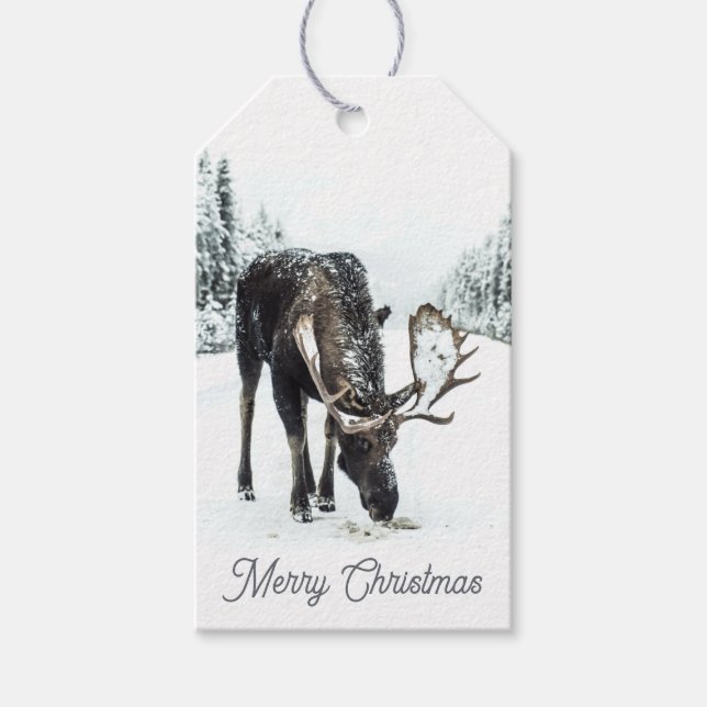 Holzmoose im Winter Schneezaubermarken Geschenkanhänger (Vorderseite)