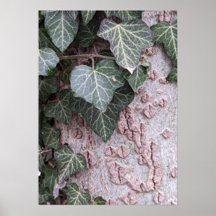 Holzmuster-Plakat Poster