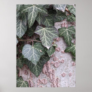 Holzmuster-Plakat Poster