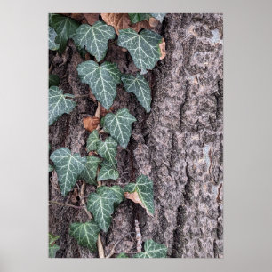 Holzmuster-Plakat Poster