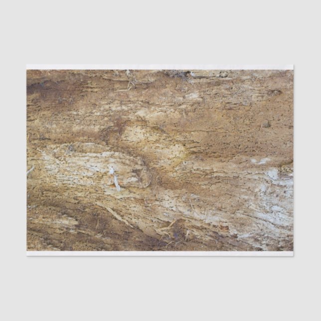 Holzmuster Seidenpapier (Vorderseite)