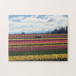 Holzschuh-Tulpenfarm, Woodburn, Oregon
