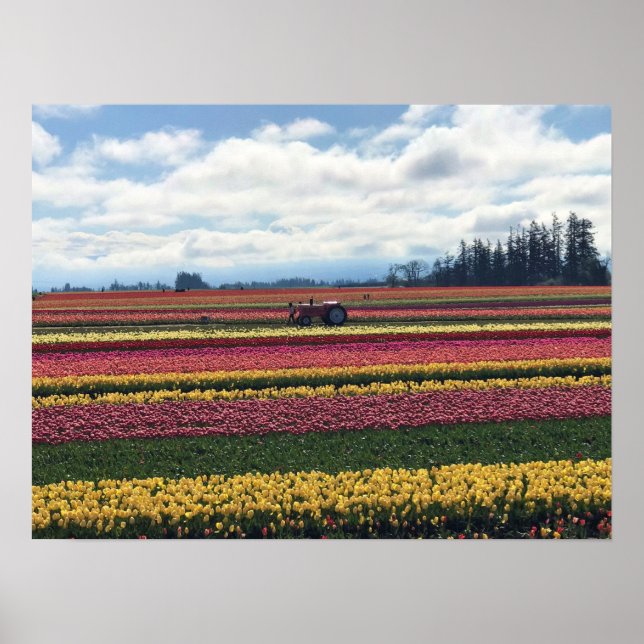 Holzschuhfarm, Holzbrand, Oregon Poster (Vorne)