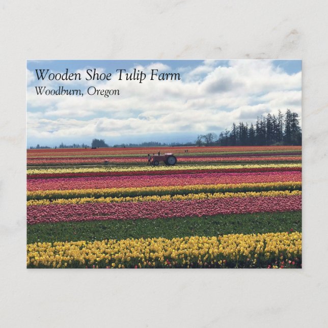 Holzschuhfarm, Holzbrand, Oregon Postkarte (Vorderseite)