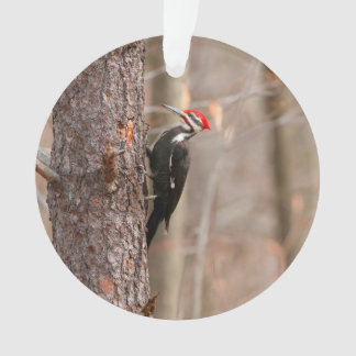 Holzspecht Ornament